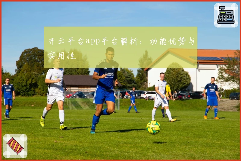 开云平台app平台解析，功能优势与实用性