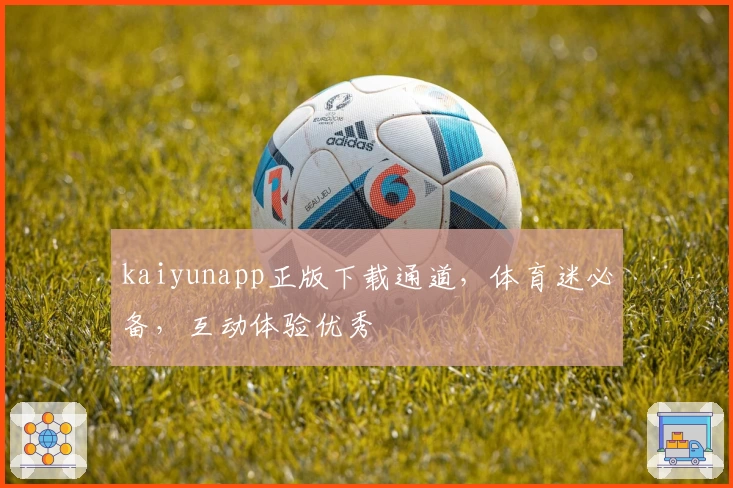 kaiyunapp正版下载通道，体育迷必备，互动体验优秀