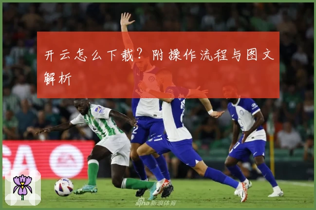 开云怎么下载？附操作流程与图文解析
