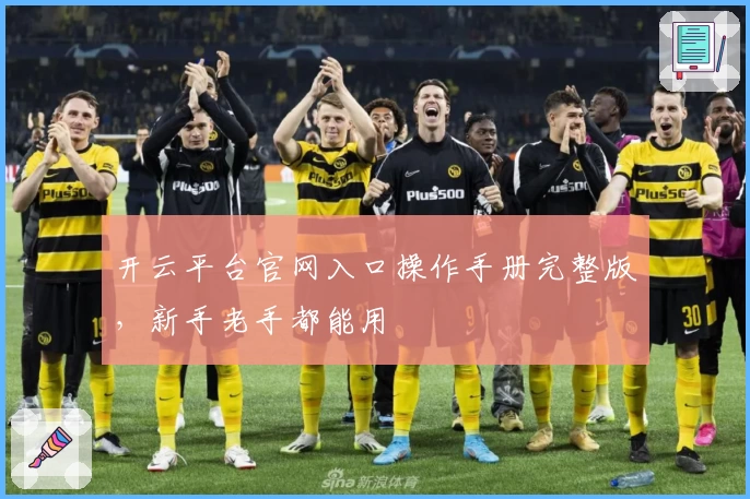 开云平台官网入口操作手册完整版,新手老手都能用