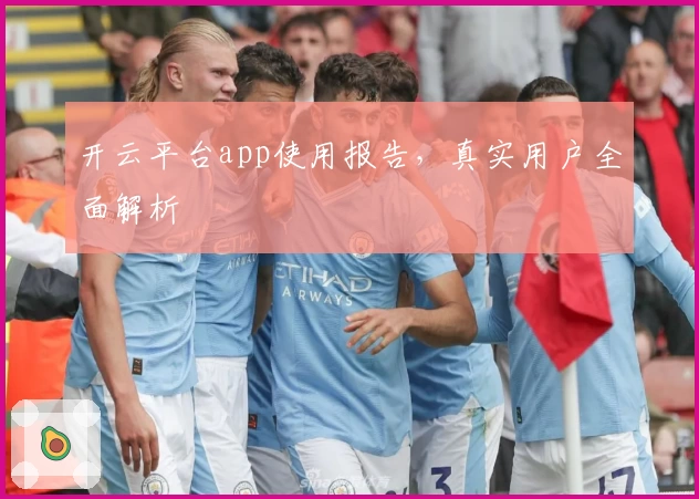开云平台app使用报告，真实用户全面解析