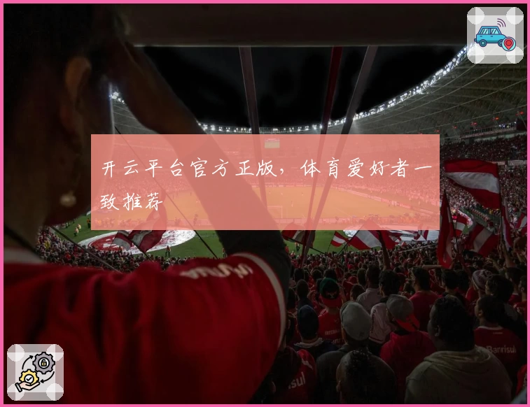 开云平台官方正版,体育爱好者一致推荐