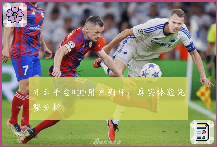 开云平台app用户测评，真实体验完整分析