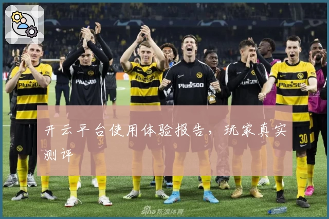 开云平台使用体验报告，玩家真实测评